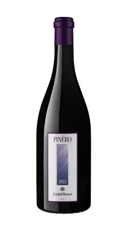 Pinero2022CdBVPOS
